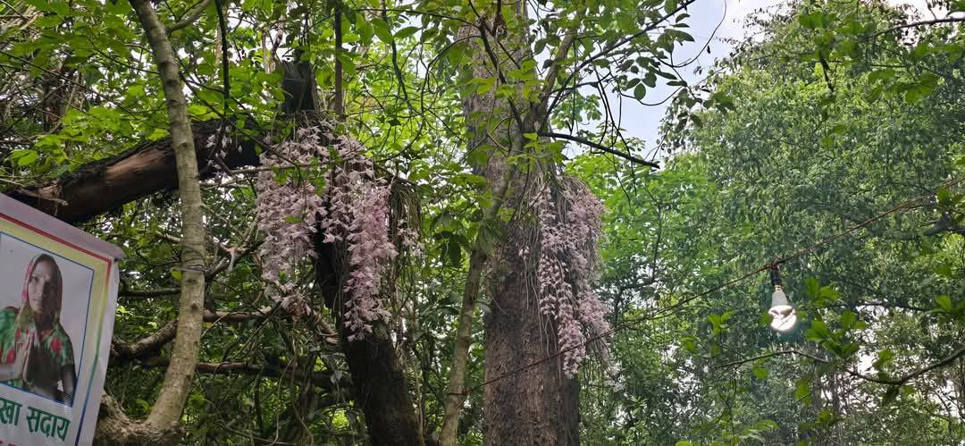 491722122_1223993409289692_7674571398930472166_n