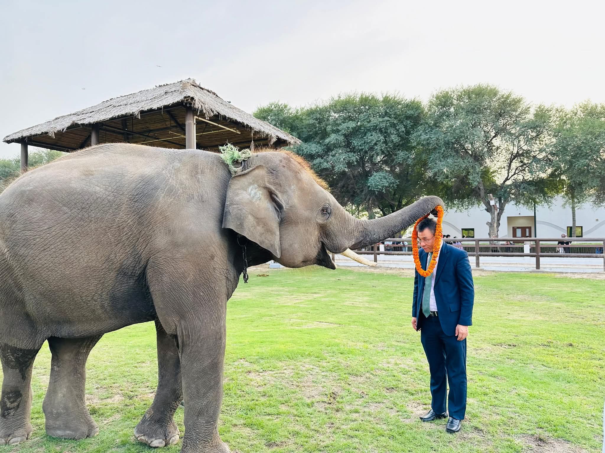 FB_IMG_1766338901348